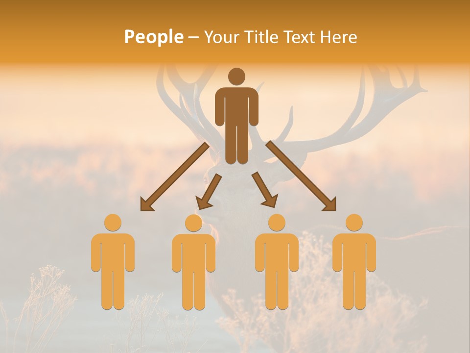 Furniture Contemporary Carpet PowerPoint Template