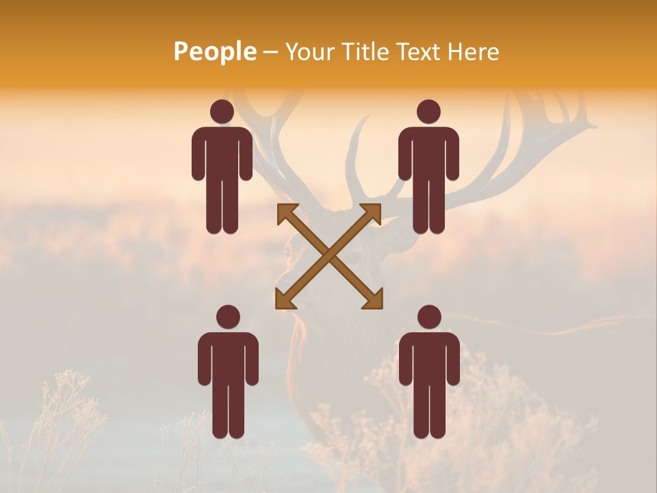 Furniture Contemporary Carpet PowerPoint Template