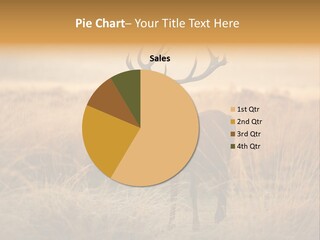 Purple Moor Hunting PowerPoint Template