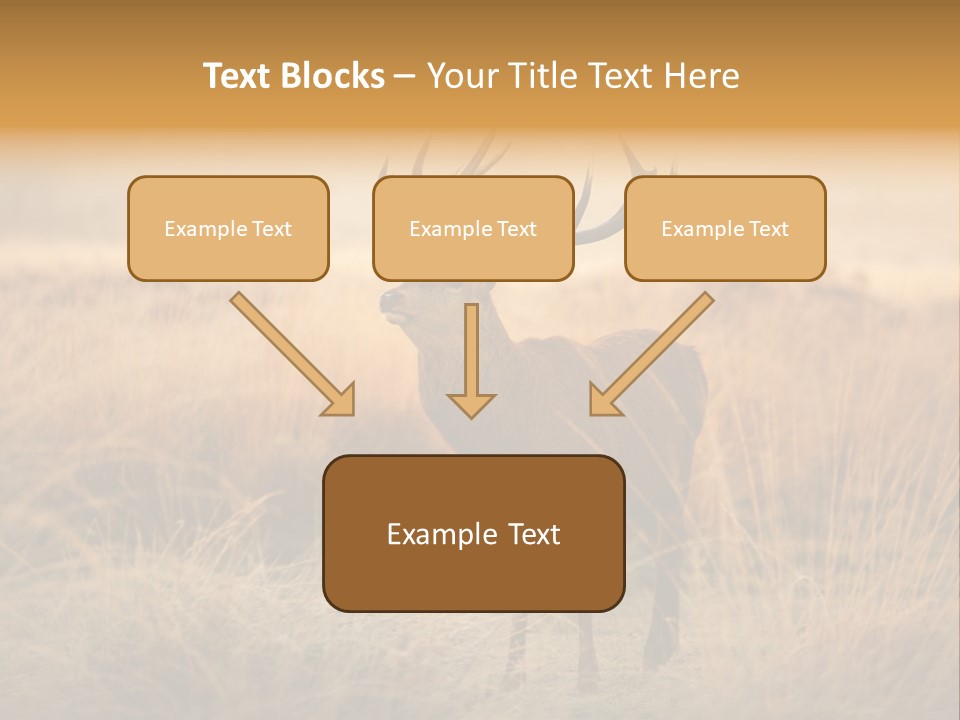Purple Moor Hunting PowerPoint Template