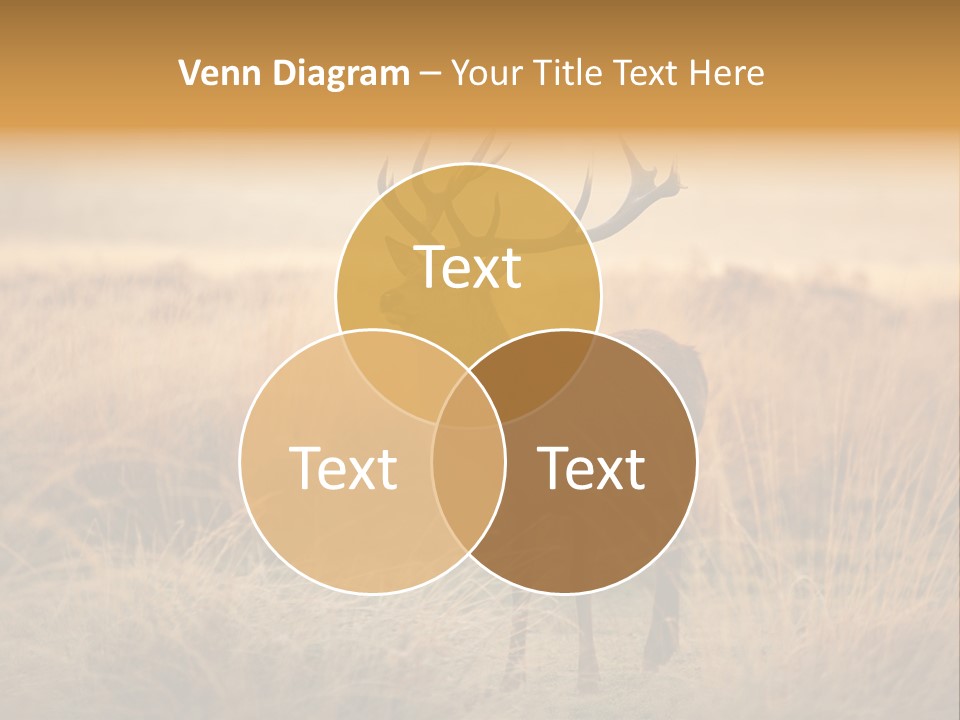 Purple Moor Hunting PowerPoint Template