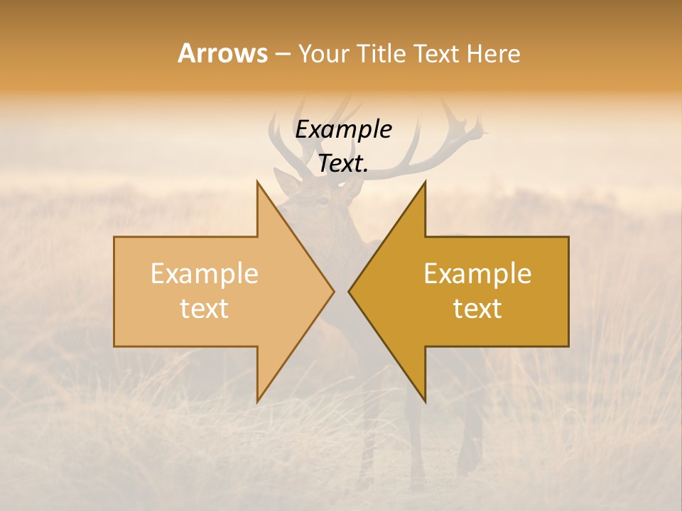 Purple Moor Hunting PowerPoint Template