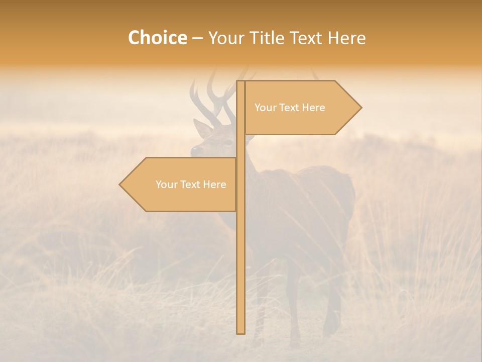 Purple Moor Hunting PowerPoint Template