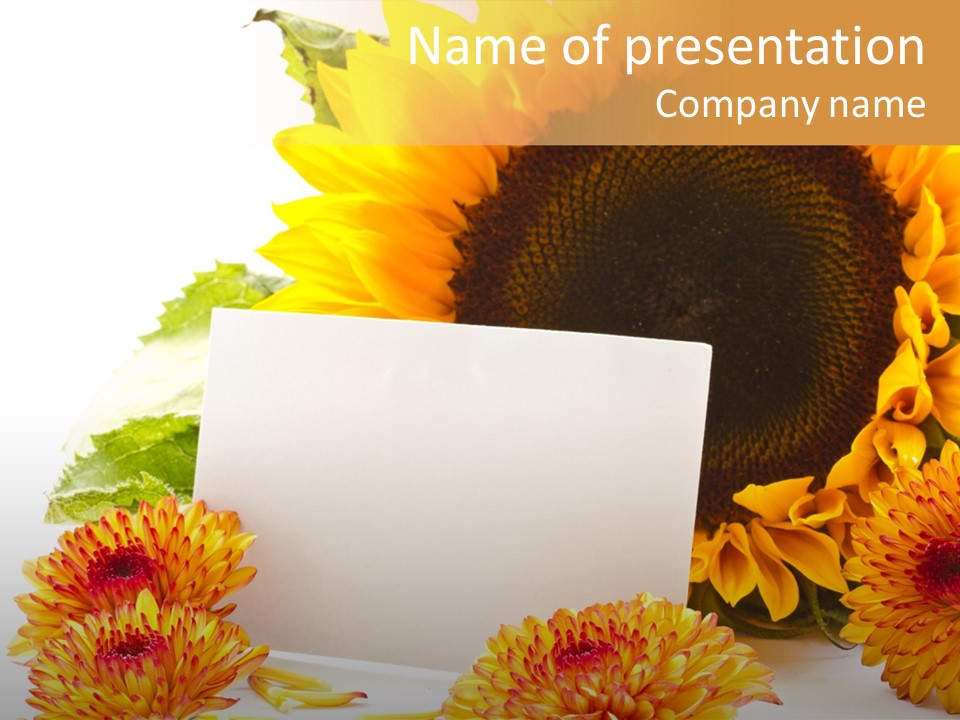 Flower Valentine Bud PowerPoint Template