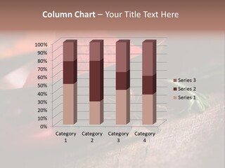 Cinnamon Color Food PowerPoint Template