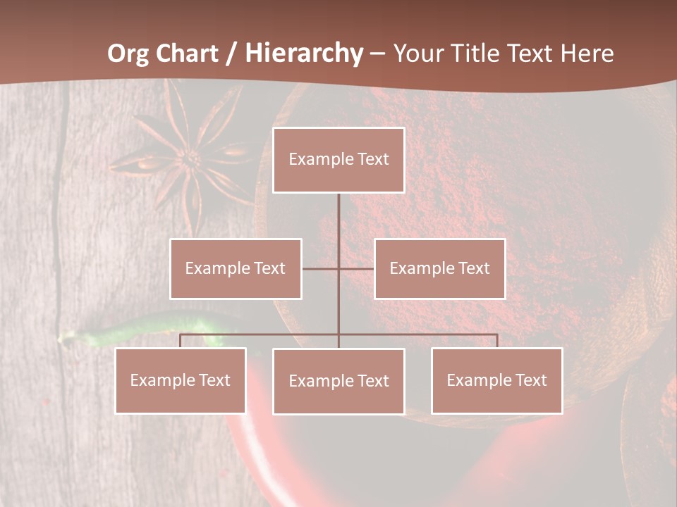 Spice Allspice Bio PowerPoint Template