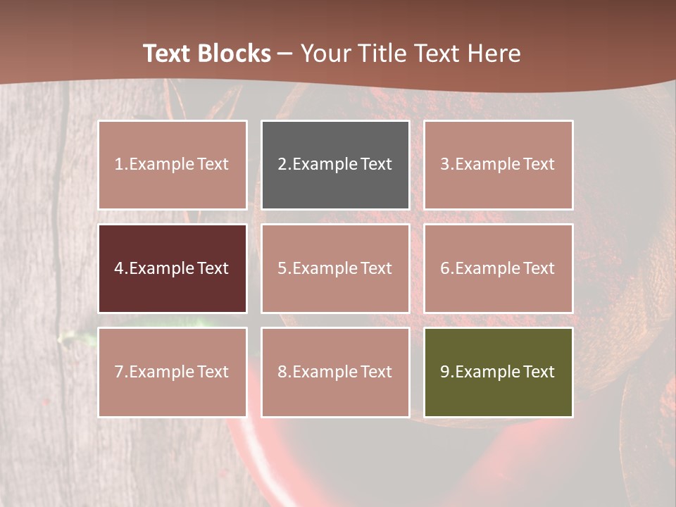 Spice Allspice Bio PowerPoint Template