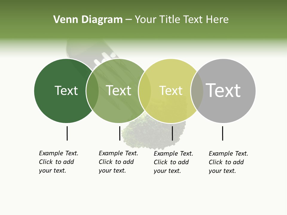 System Broccoli Food PowerPoint Template