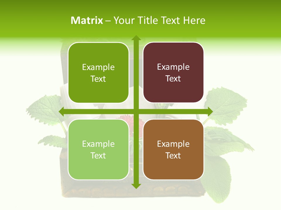 Salbei Truhe Nat PowerPoint Template