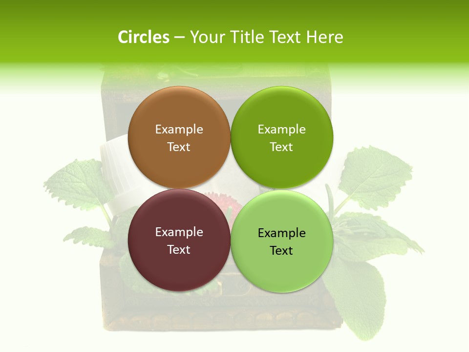 Salbei Truhe Nat PowerPoint Template