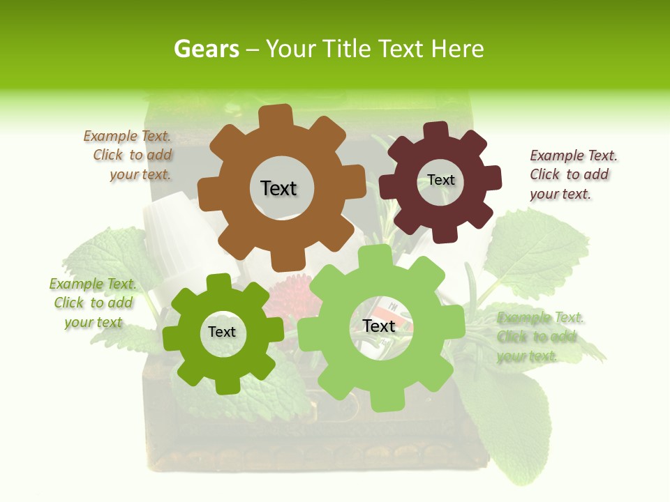 Salbei Truhe Nat PowerPoint Template