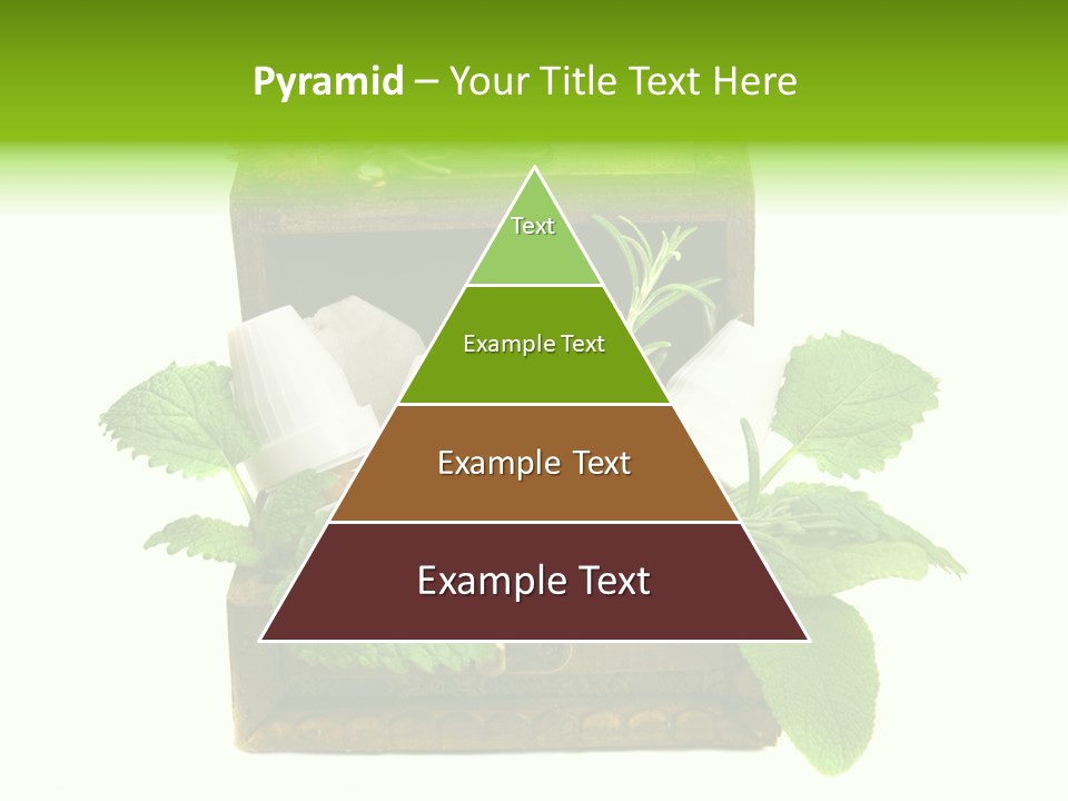 Salbei Truhe Nat PowerPoint Template