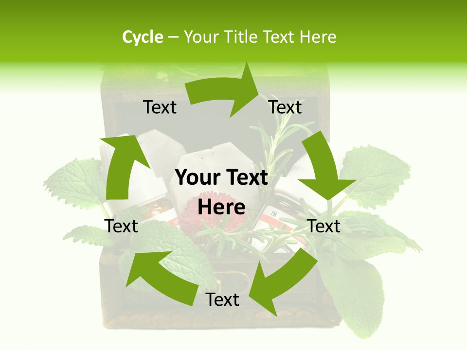 Salbei Truhe Nat PowerPoint Template