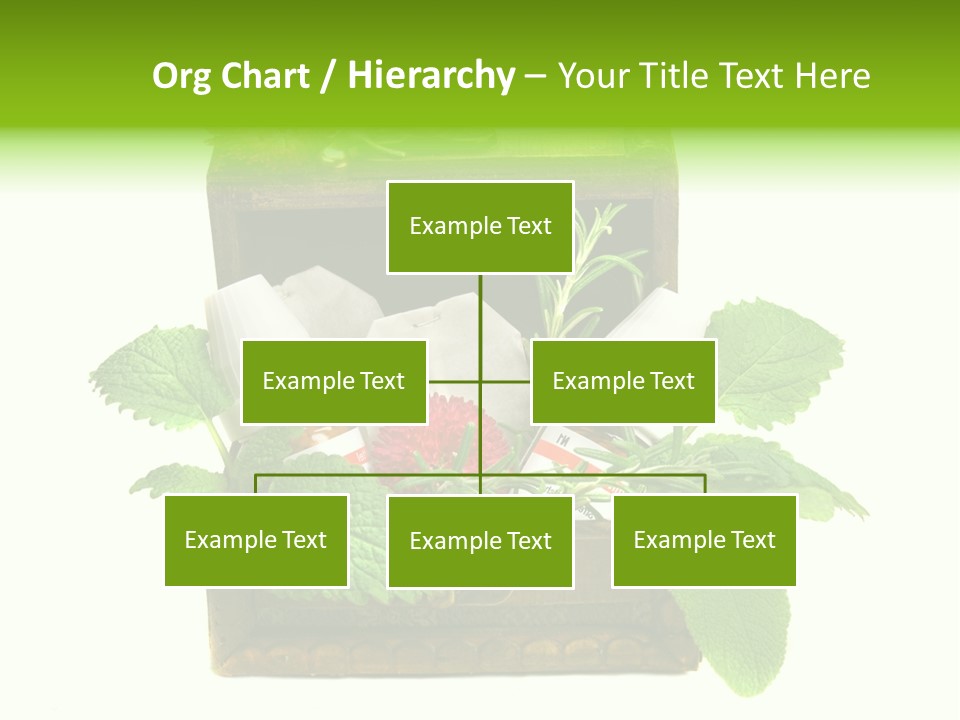Salbei Truhe Nat PowerPoint Template