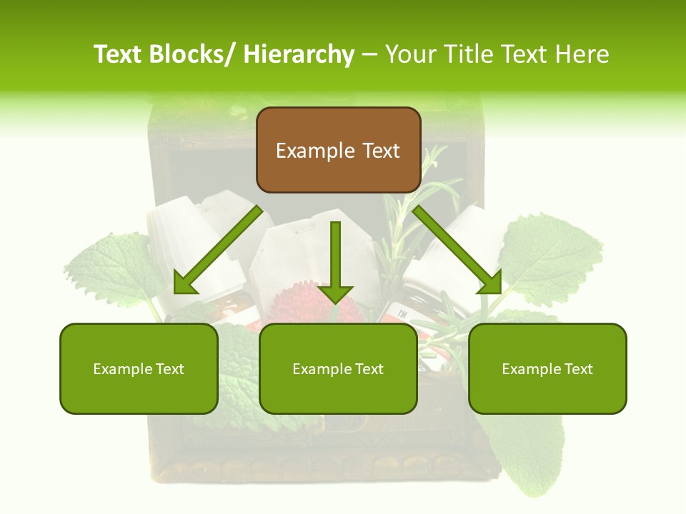 Salbei Truhe Nat PowerPoint Template