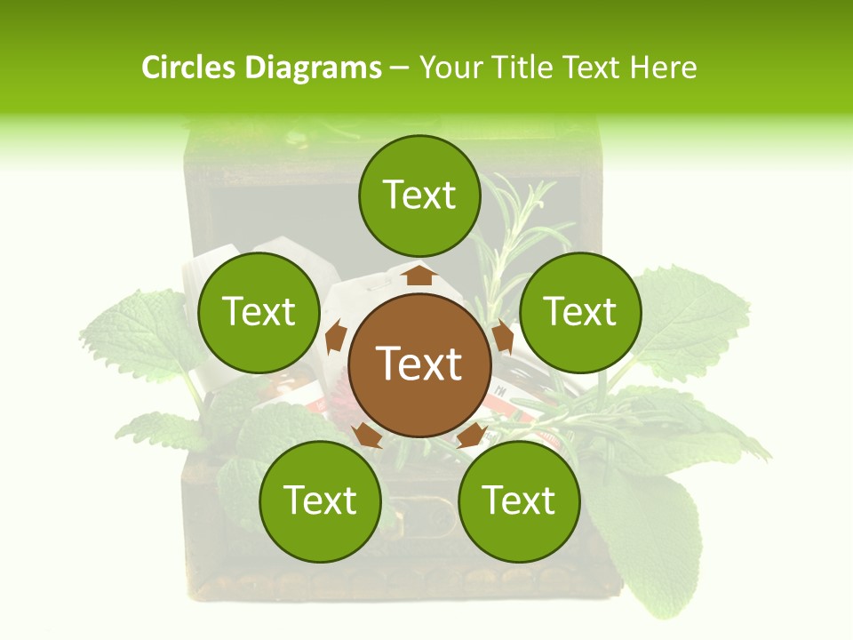 Salbei Truhe Nat PowerPoint Template