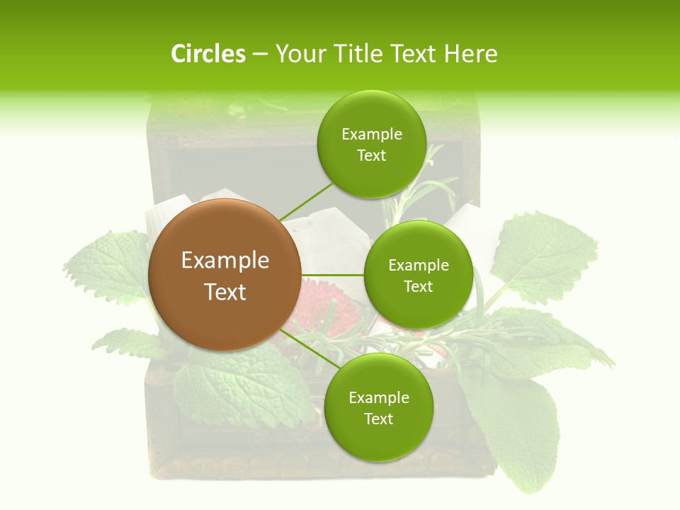 Salbei Truhe Nat PowerPoint Template