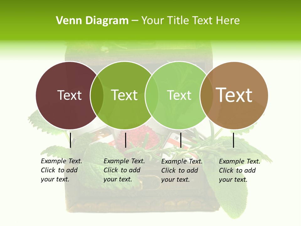 Salbei Truhe Nat PowerPoint Template
