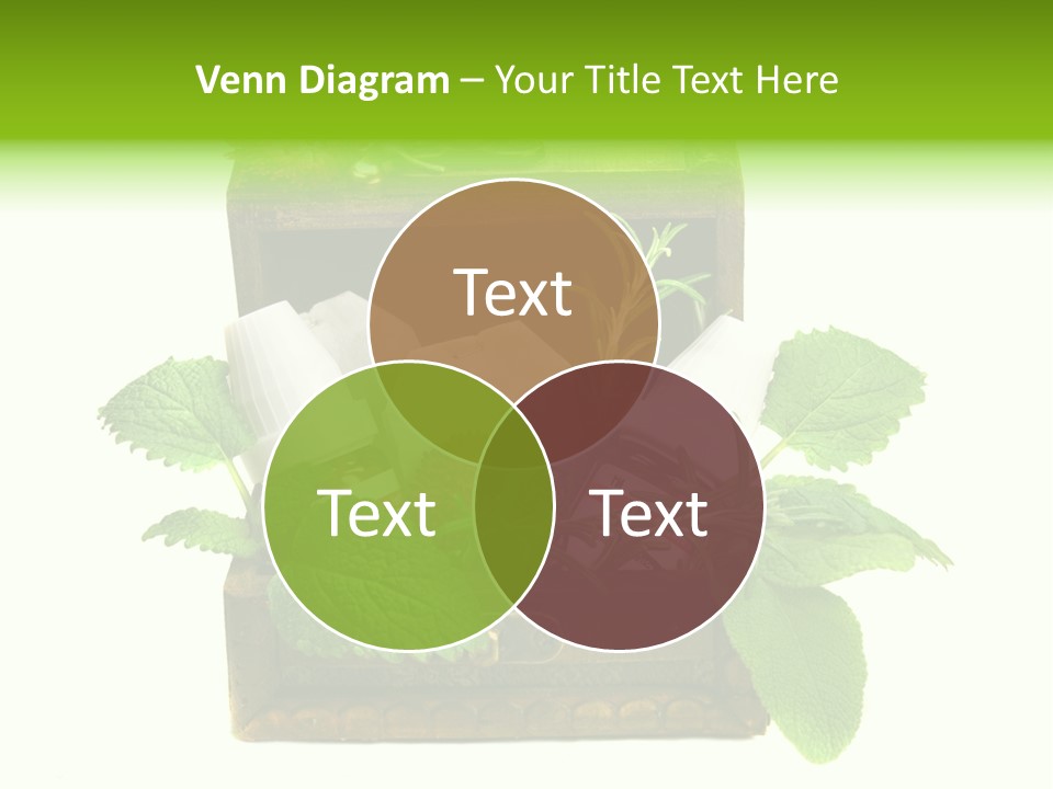 Salbei Truhe Nat PowerPoint Template