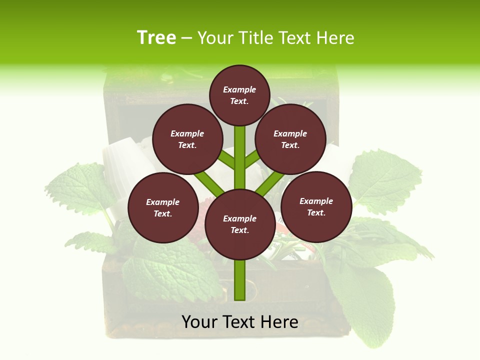 Salbei Truhe Nat PowerPoint Template