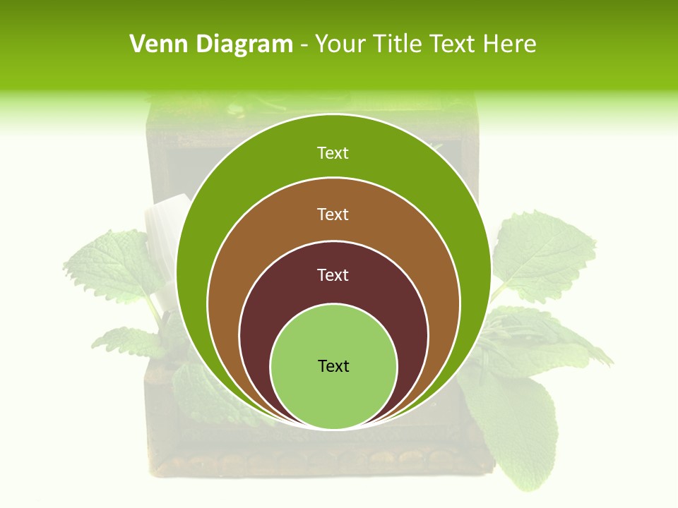 Salbei Truhe Nat PowerPoint Template