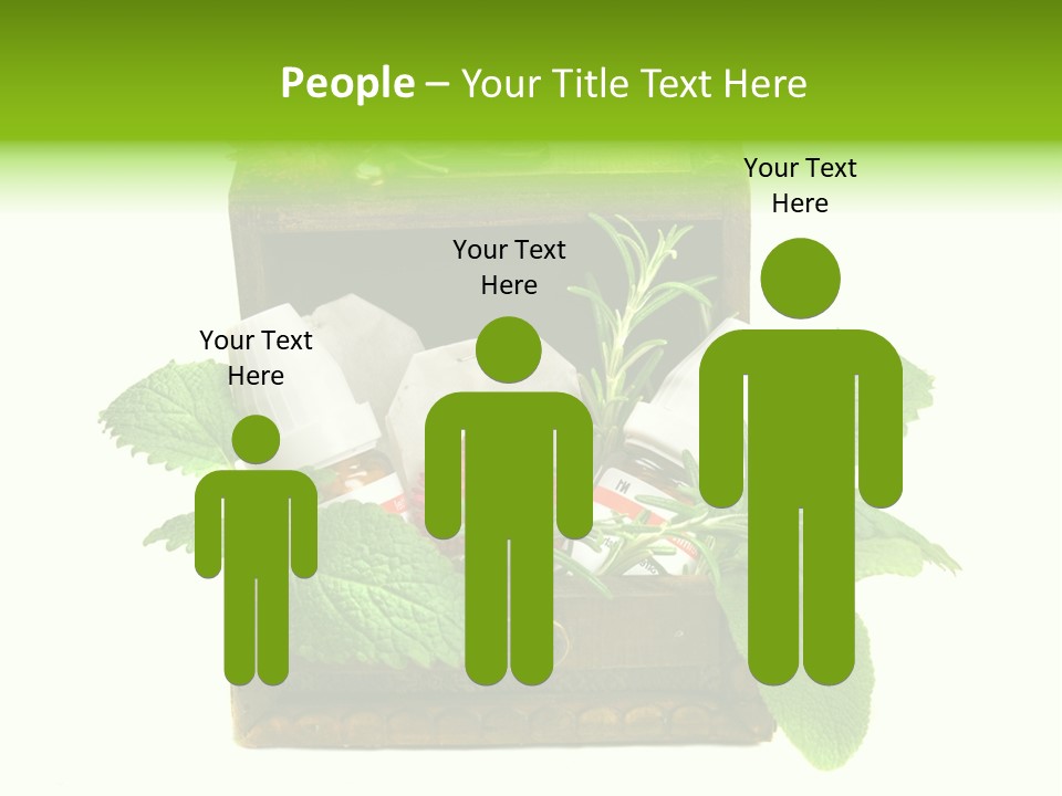 Salbei Truhe Nat PowerPoint Template