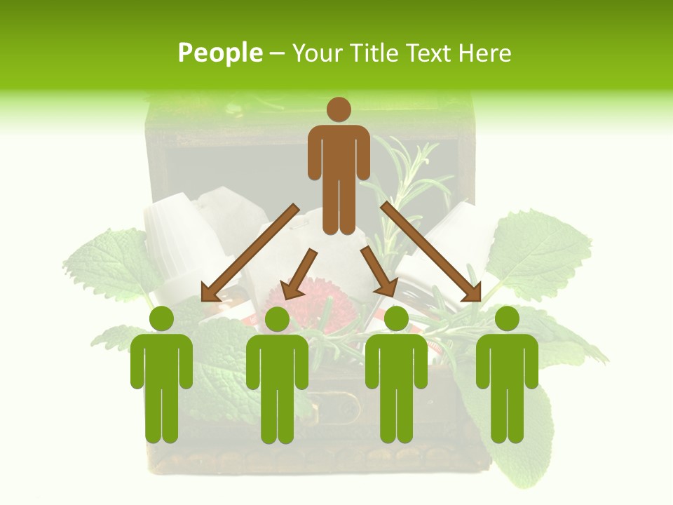Salbei Truhe Nat PowerPoint Template
