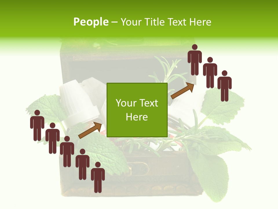 Salbei Truhe Nat PowerPoint Template