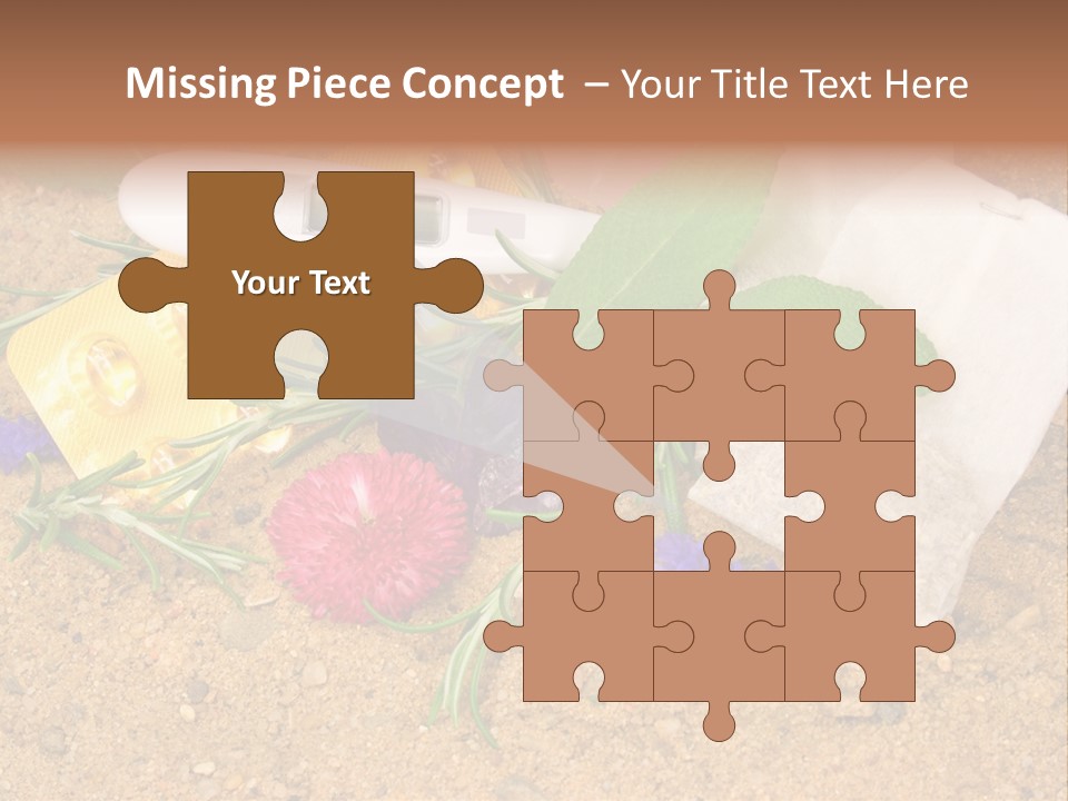 Globuli Nat Hom PowerPoint Template