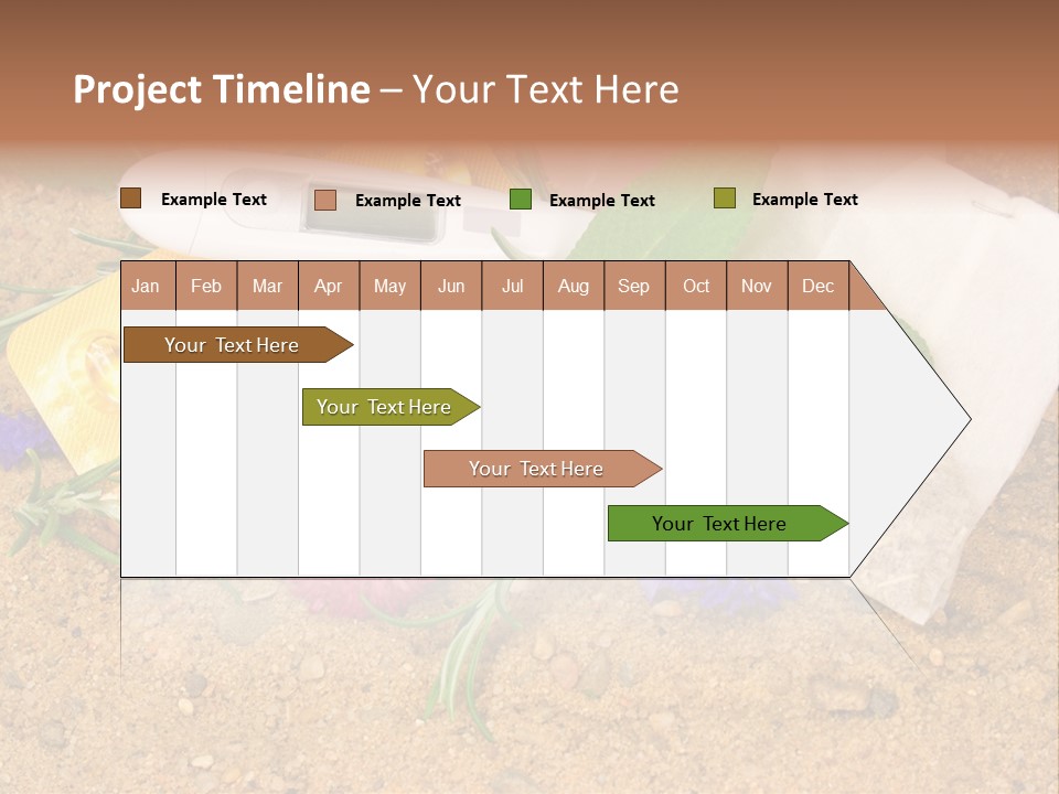Globuli Nat Hom PowerPoint Template