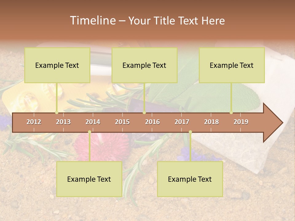 Globuli Nat Hom PowerPoint Template
