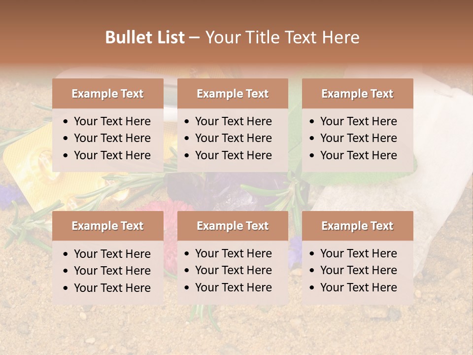 Globuli Nat Hom PowerPoint Template