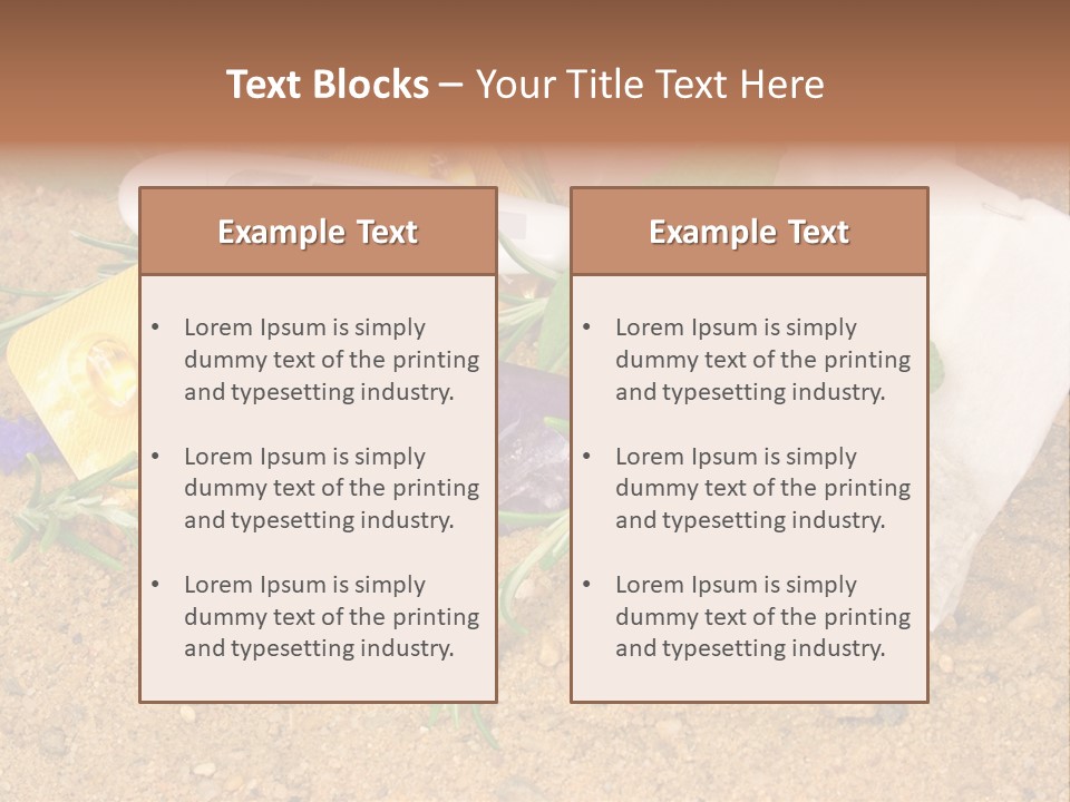 Globuli Nat Hom PowerPoint Template