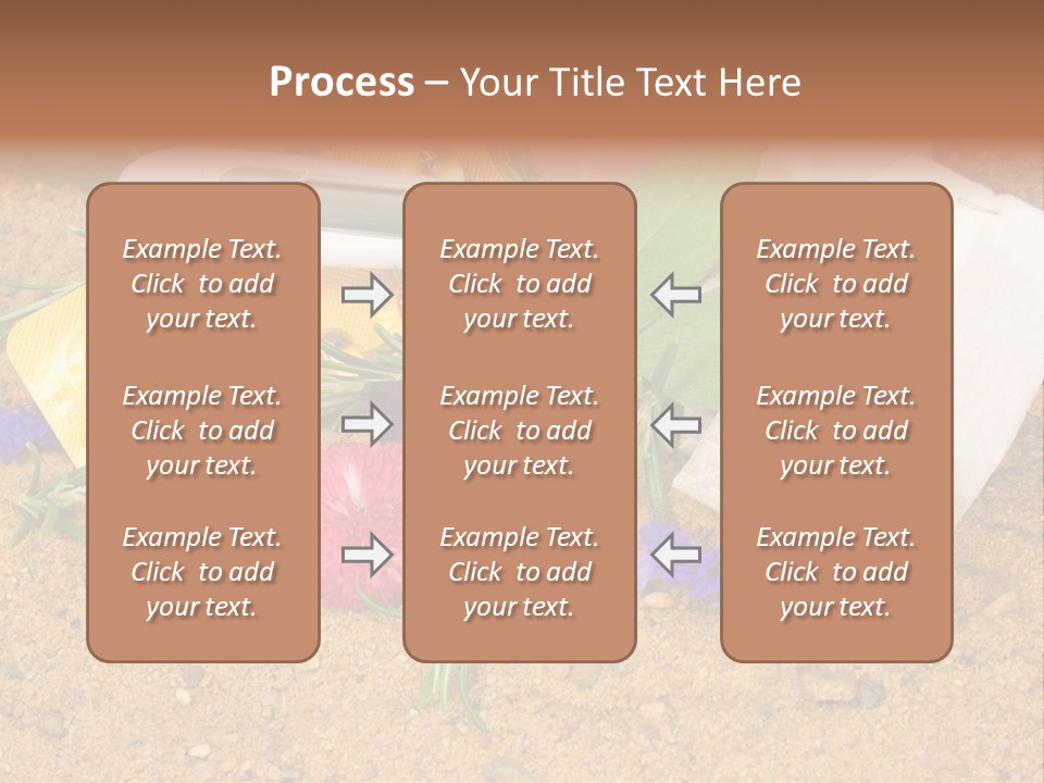Globuli Nat Hom PowerPoint Template