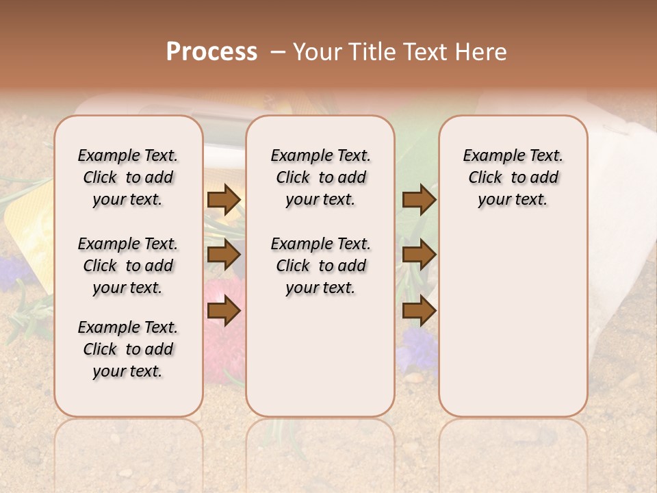 Globuli Nat Hom PowerPoint Template