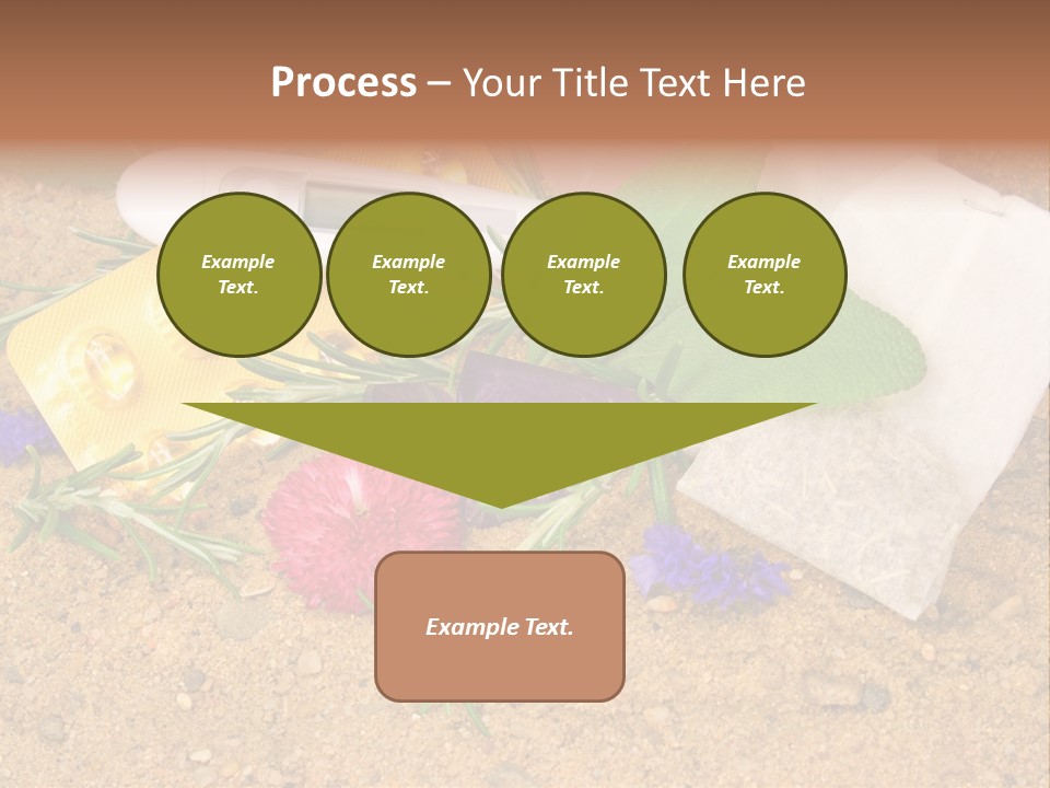 Globuli Nat Hom PowerPoint Template