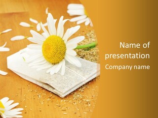 Hausmittel Kamille Blume PowerPoint Template