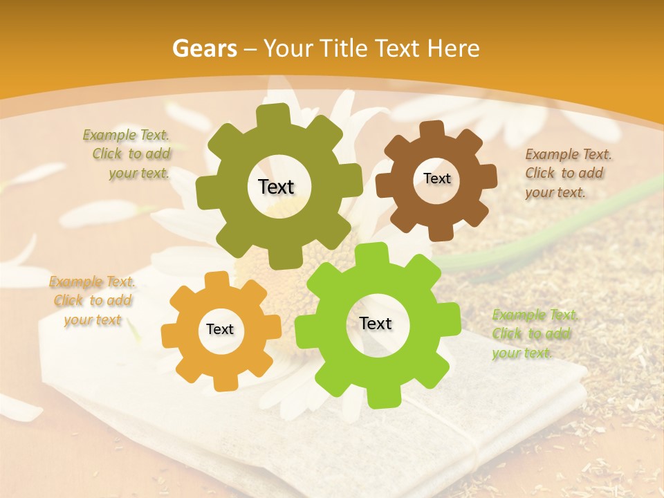 Hausmittel Kamille Blume PowerPoint Template