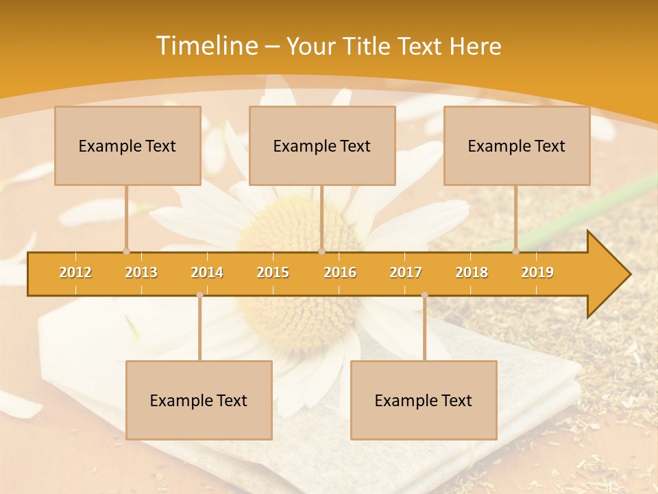 Hausmittel Kamille Blume PowerPoint Template