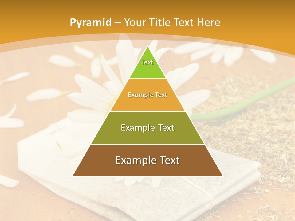 Hausmittel Kamille Blume PowerPoint Template