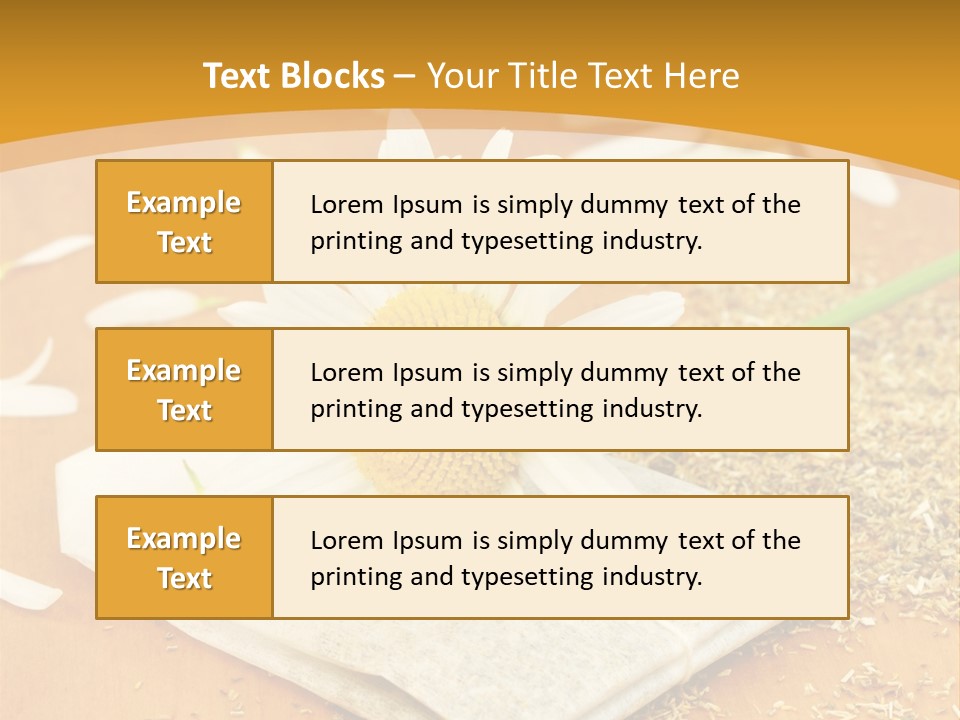 Hausmittel Kamille Blume PowerPoint Template