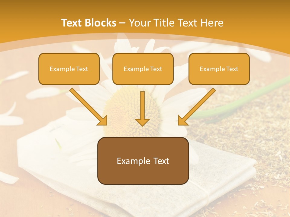 Hausmittel Kamille Blume PowerPoint Template