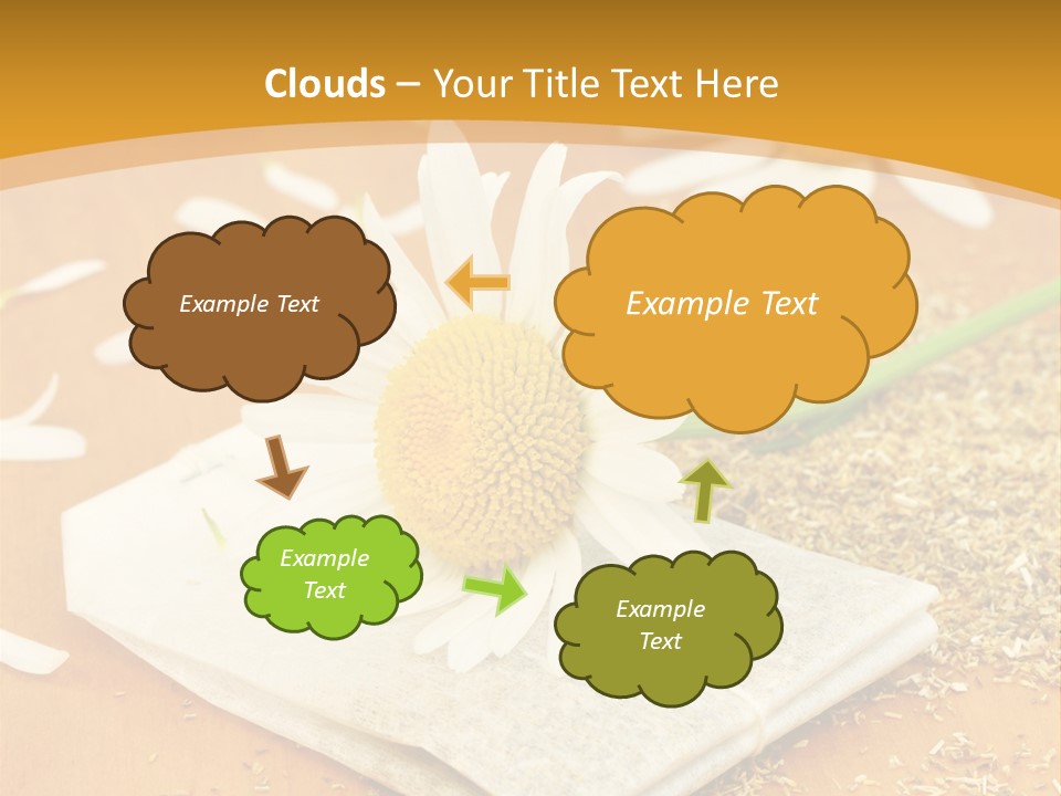 Hausmittel Kamille Blume PowerPoint Template