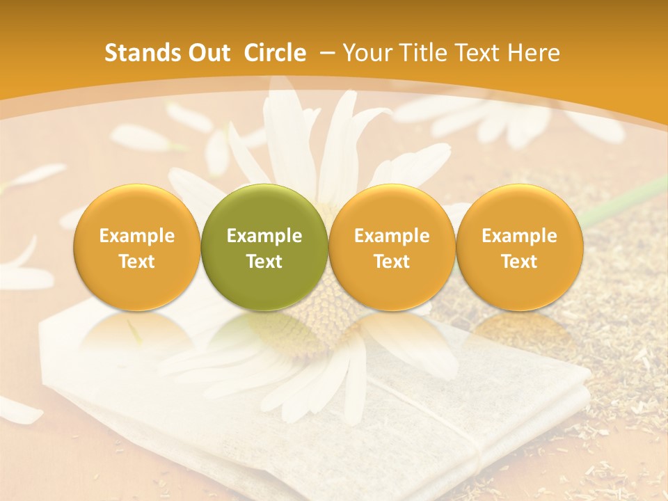 Hausmittel Kamille Blume PowerPoint Template