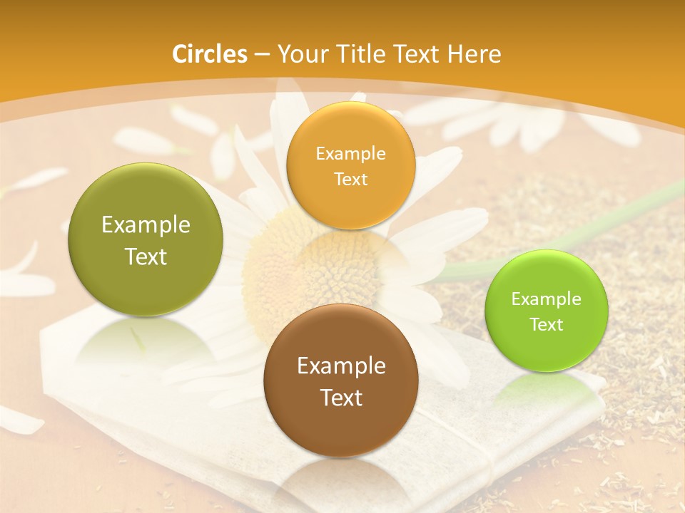 Hausmittel Kamille Blume PowerPoint Template