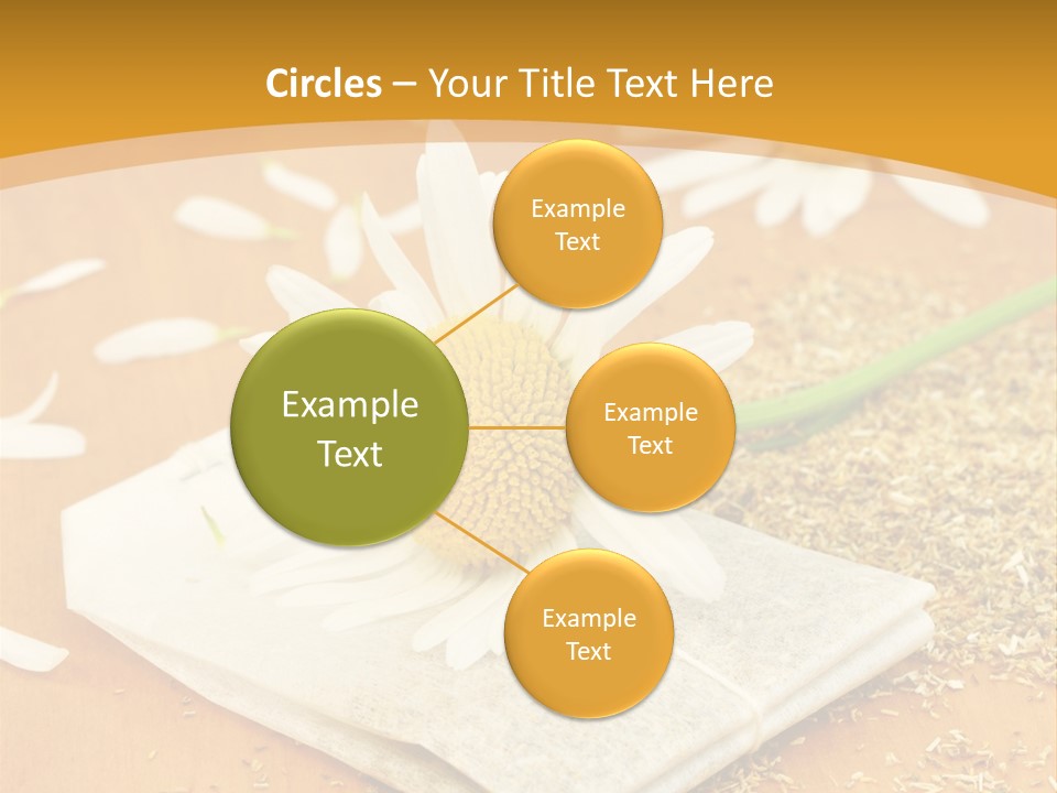 Hausmittel Kamille Blume PowerPoint Template