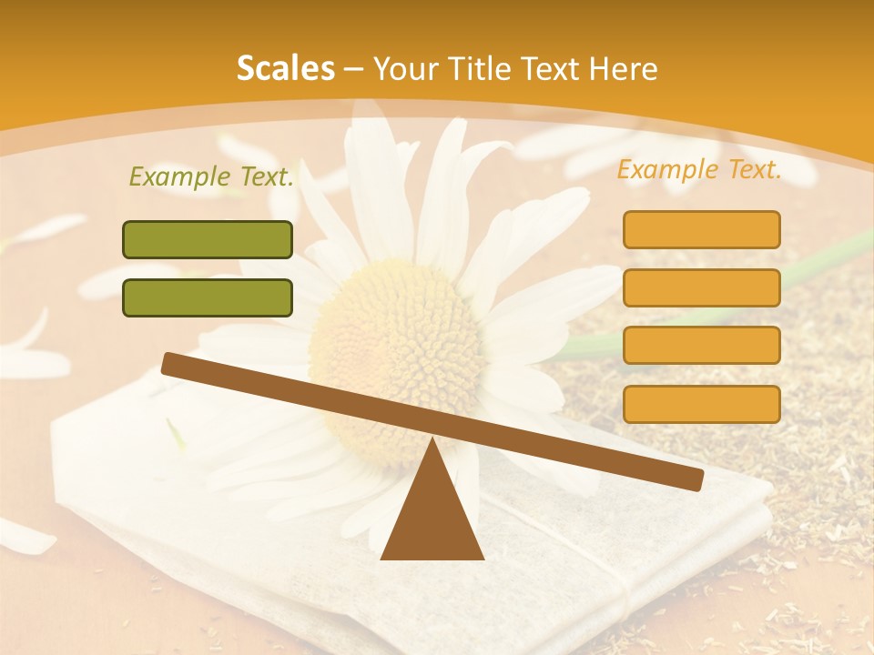 Hausmittel Kamille Blume PowerPoint Template