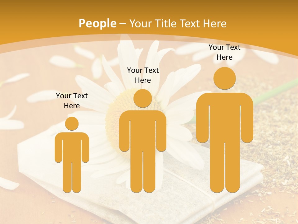 Hausmittel Kamille Blume PowerPoint Template