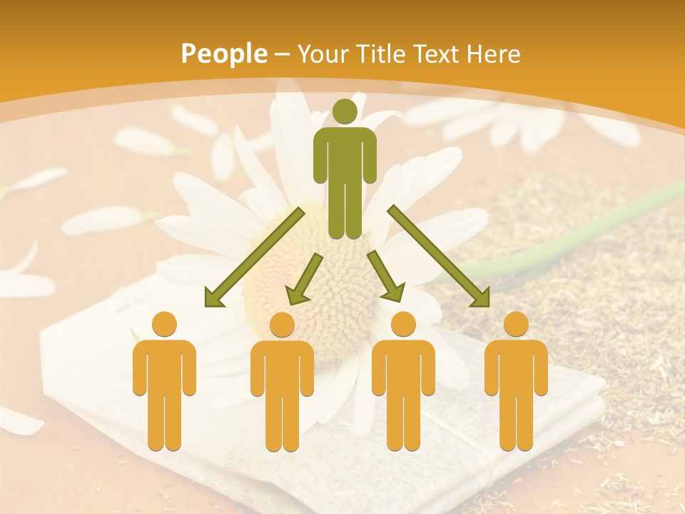 Hausmittel Kamille Blume PowerPoint Template