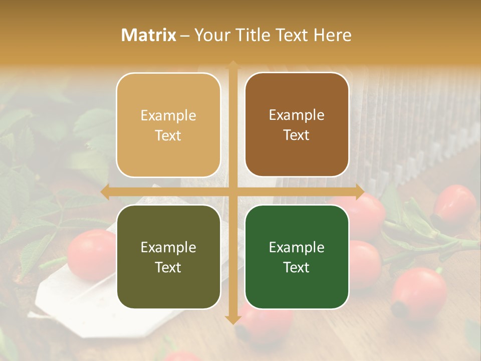 Heilpflanzen Hagebutte Entspannung PowerPoint Template